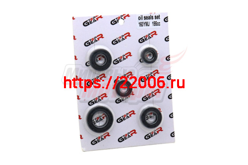 Набор сальников 160YMJ 155см3 (W150)