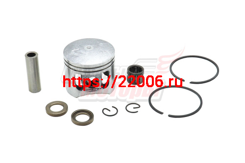 Поршень CHAMPION 245 комплект (43мм) (3002100101)