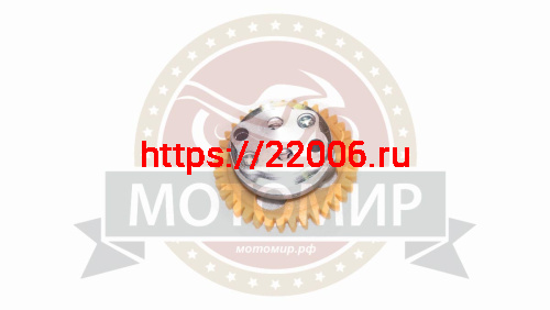 Насос масляный 166FMM в сборе с шестерней 39з фото 2 Насос масляный 166FMM в сборе с шестерней 39з фото 2