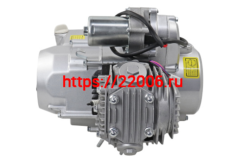 Двигатель 1P52FMH 110см3 эл.стар, ПОЛУАВТОМАТ без рыч.сц, Delta,Alpha, маркировка 49см3 (СЕРЕБРИСТЫЙ фото 2 Двигатель 1P52FMH 110см3 эл.стар, ПОЛУАВТОМАТ без рыч.сц, Delta,Alpha, маркировка 49см3 (СЕРЕБРИСТЫЙ фото 2